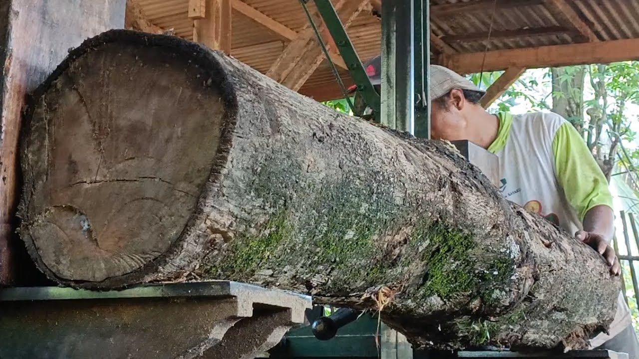A technique for splitting mossy logs at a sawmill that many people don't know about.