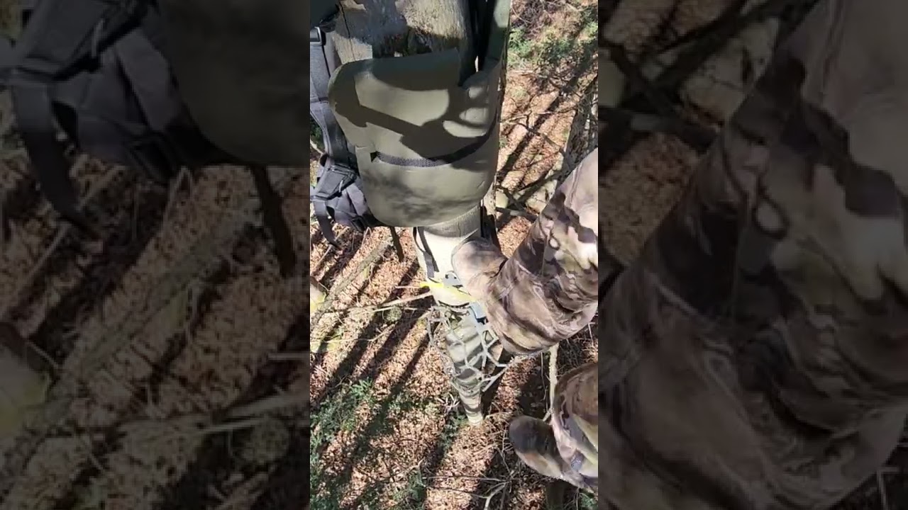 How to Reset PLATFORM for Tree Saddle Hunting!! XOP Saddle Platform for Deer Hunting #shorts #xop