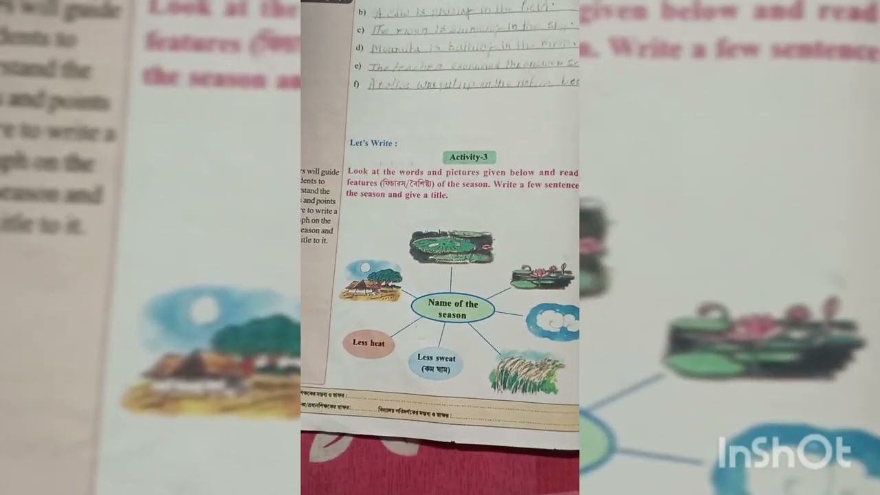 Class 5 revision lesson (wings) 