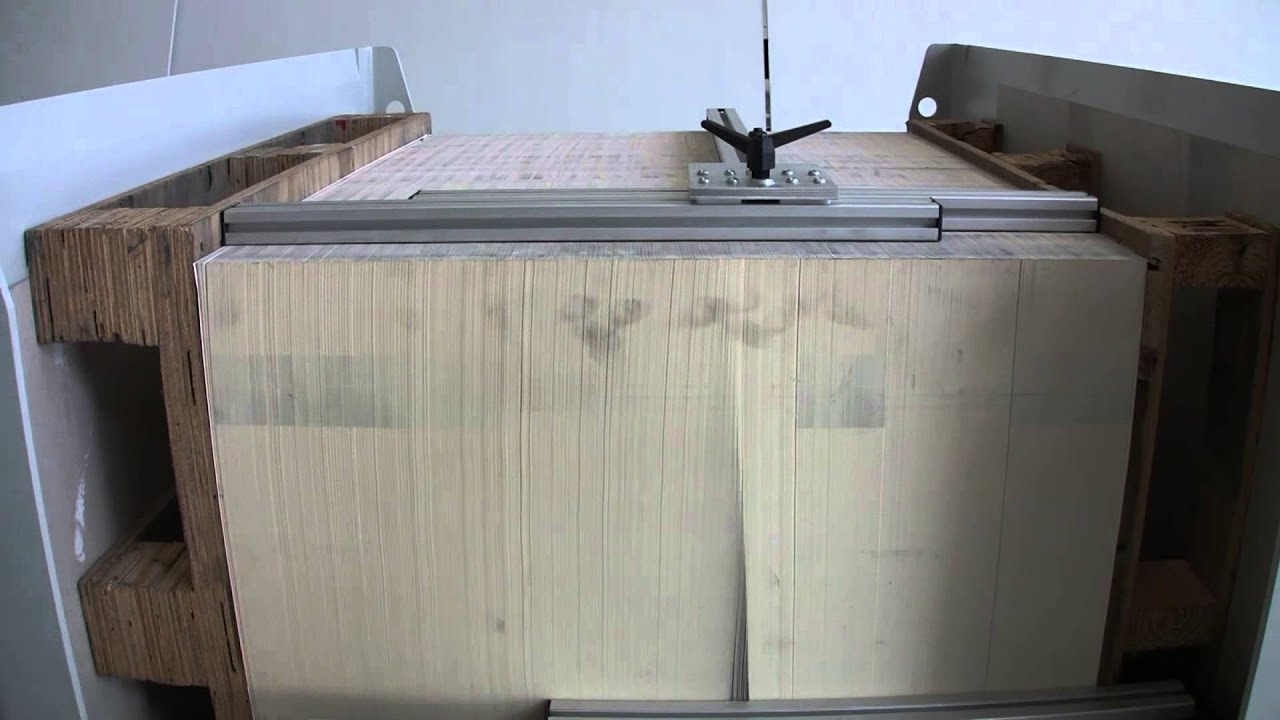 Pile Turner BSW 3 - 1000 LV with air and vibration