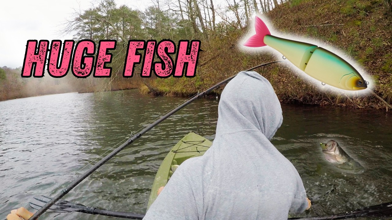 This Fish Has NEVER Seen This BIG Bait