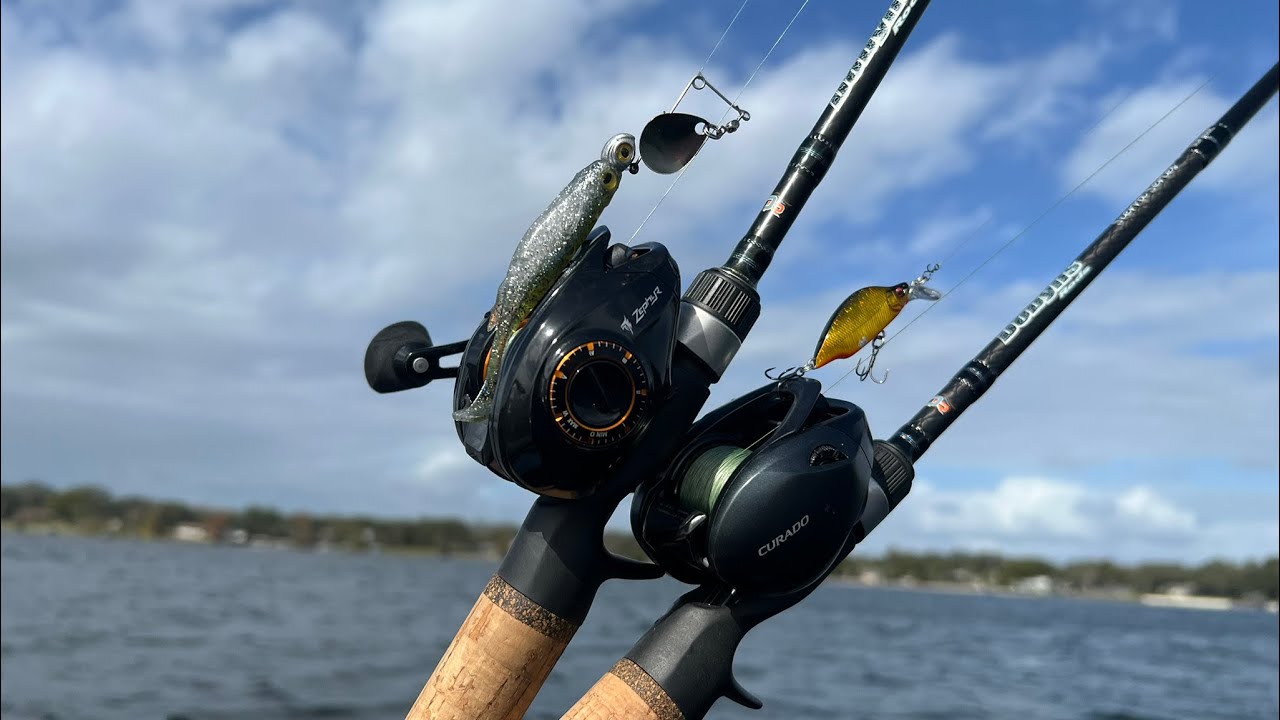 BFS Reel Comparison! (Shimano Curado BFS vs KastKing Zephyr)