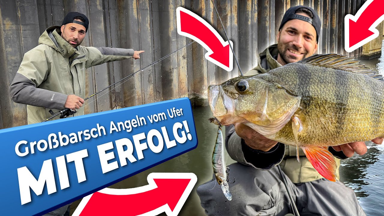 Großbarsch Angeln vom Ufer mit Erfolg!