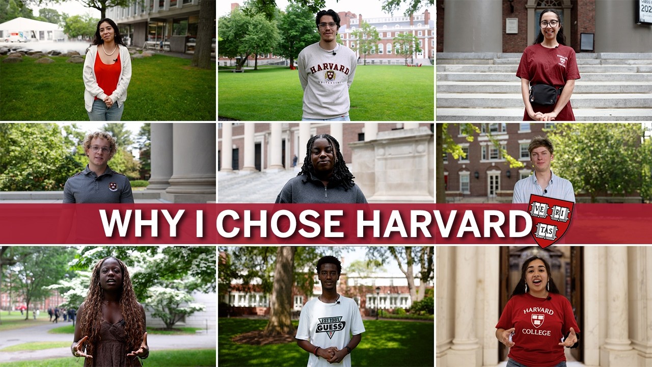 Why I Chose Harvard