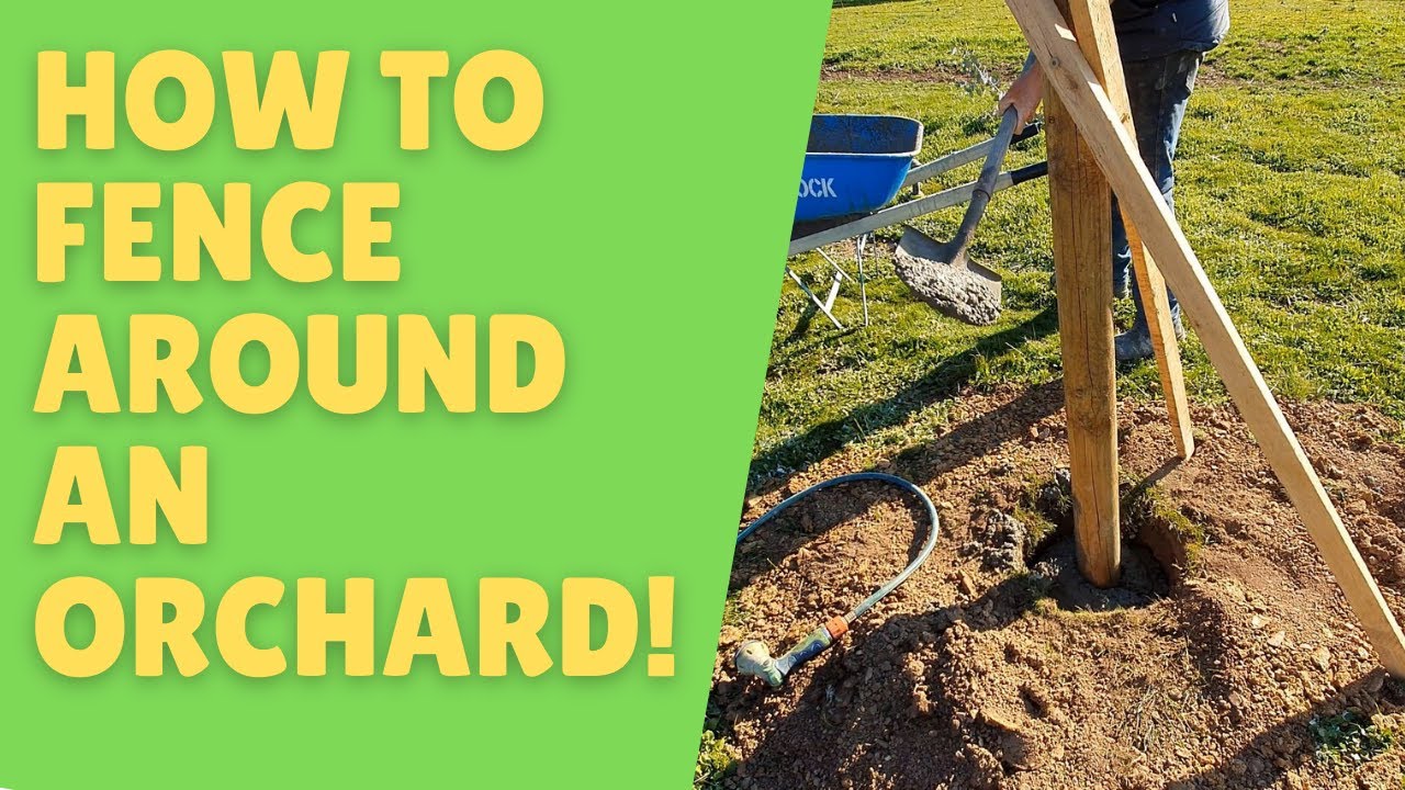 How to fence around an orchard. Part 1