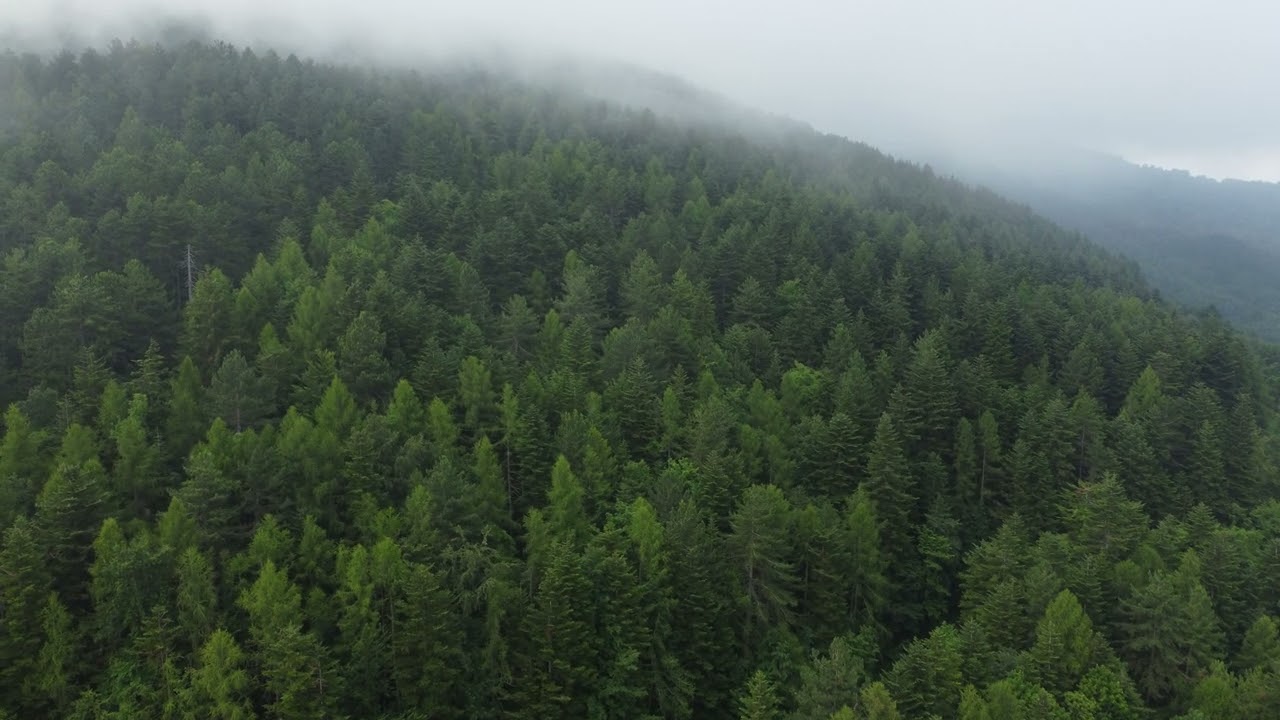 No Copyright Drone Shots/Royalty free Drone/Free stock Videos /cloudy day in mountain in summer