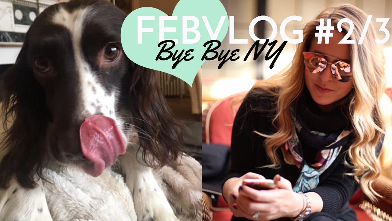 Bye NY... Hello SOFA! FebVlog 2 & 3