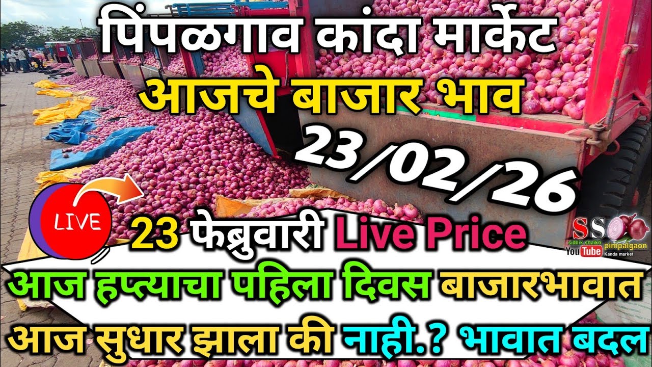 Pimpalgaon Onion Market Price Today:Latest Rates And Insights 23 February 2025
