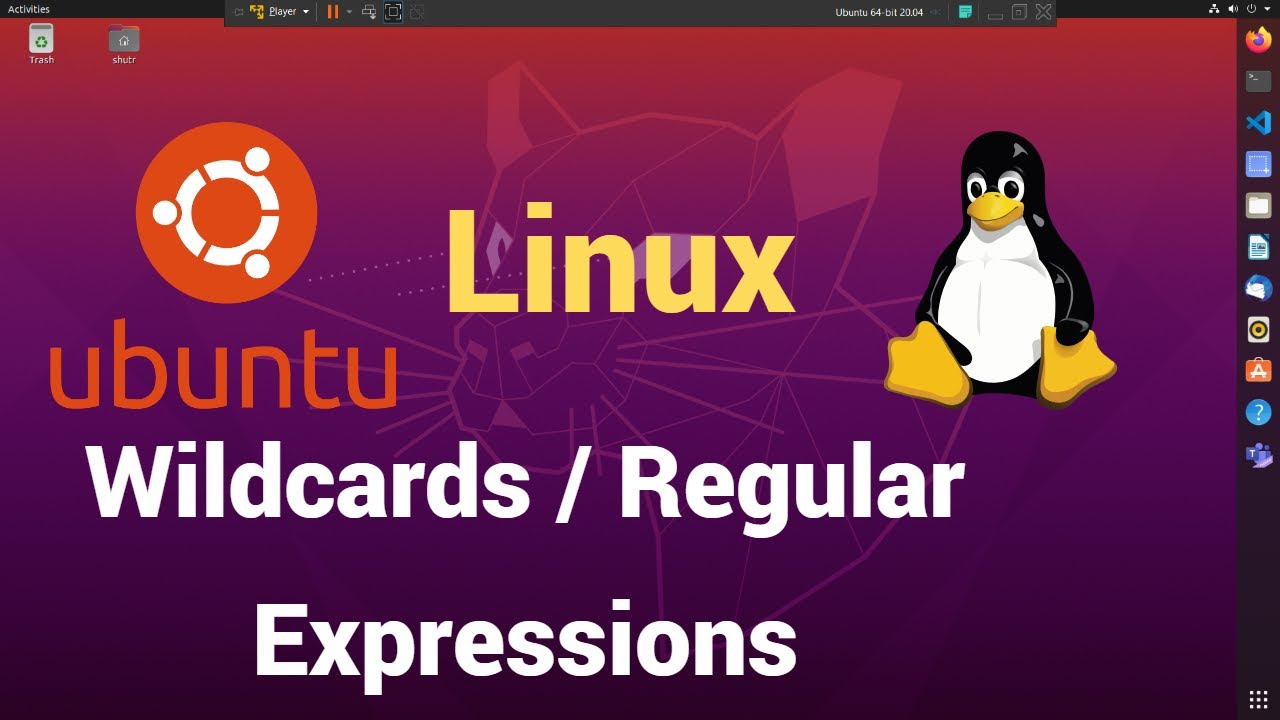 wild cards or regular expressions in linux | Linux Command Line Tutorial