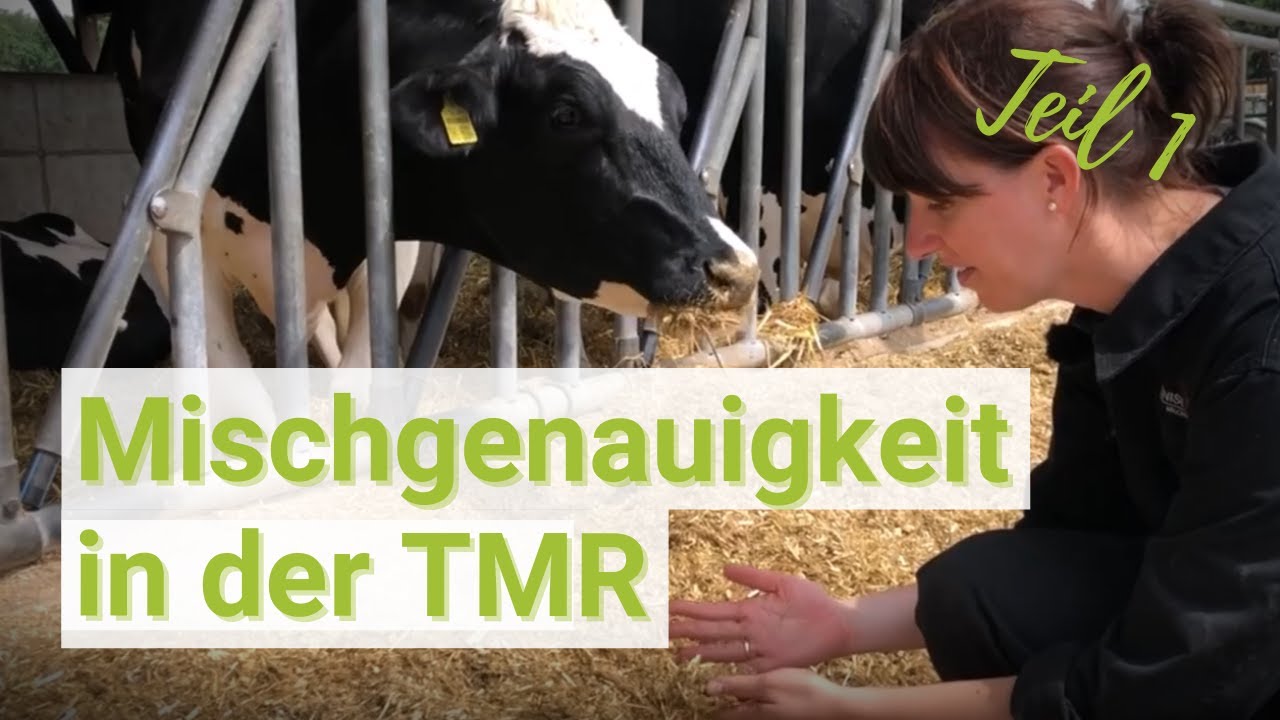 Mischgenauigkeit in der TMR – Fütterungsexpertin Denise Völker gibt praktische Tipps
