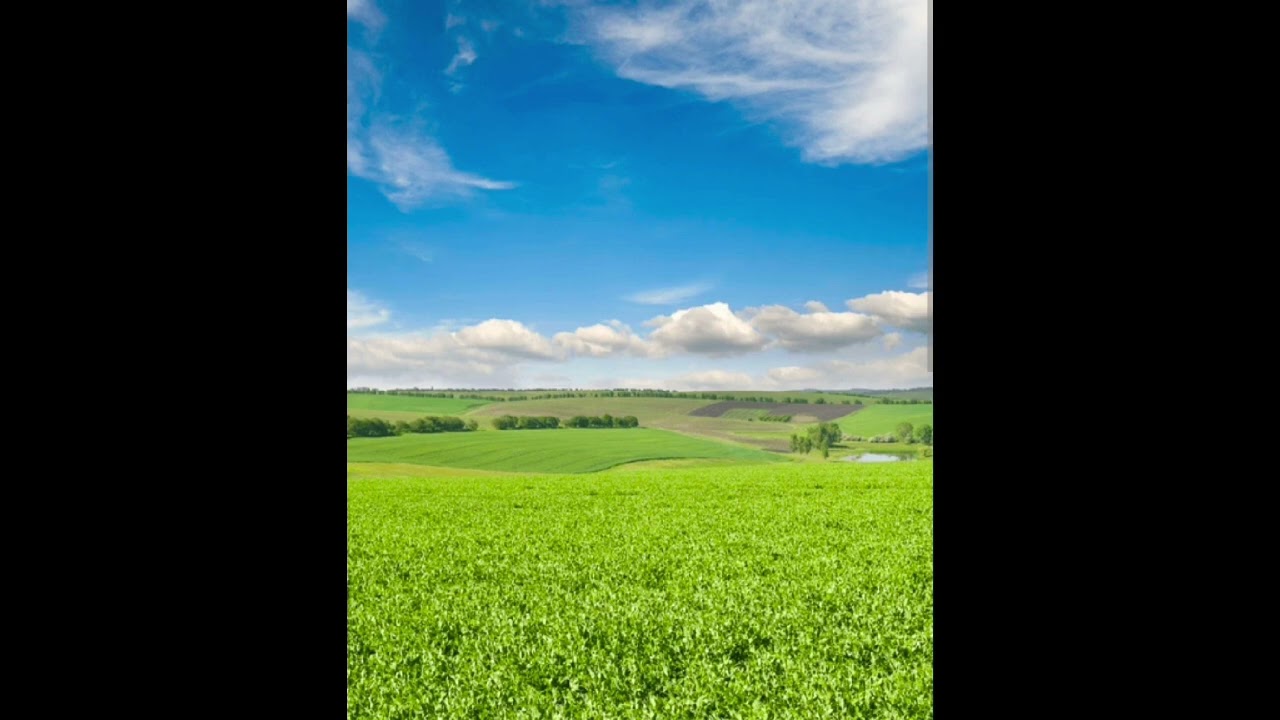 RELAX FOR A WHILE♥️