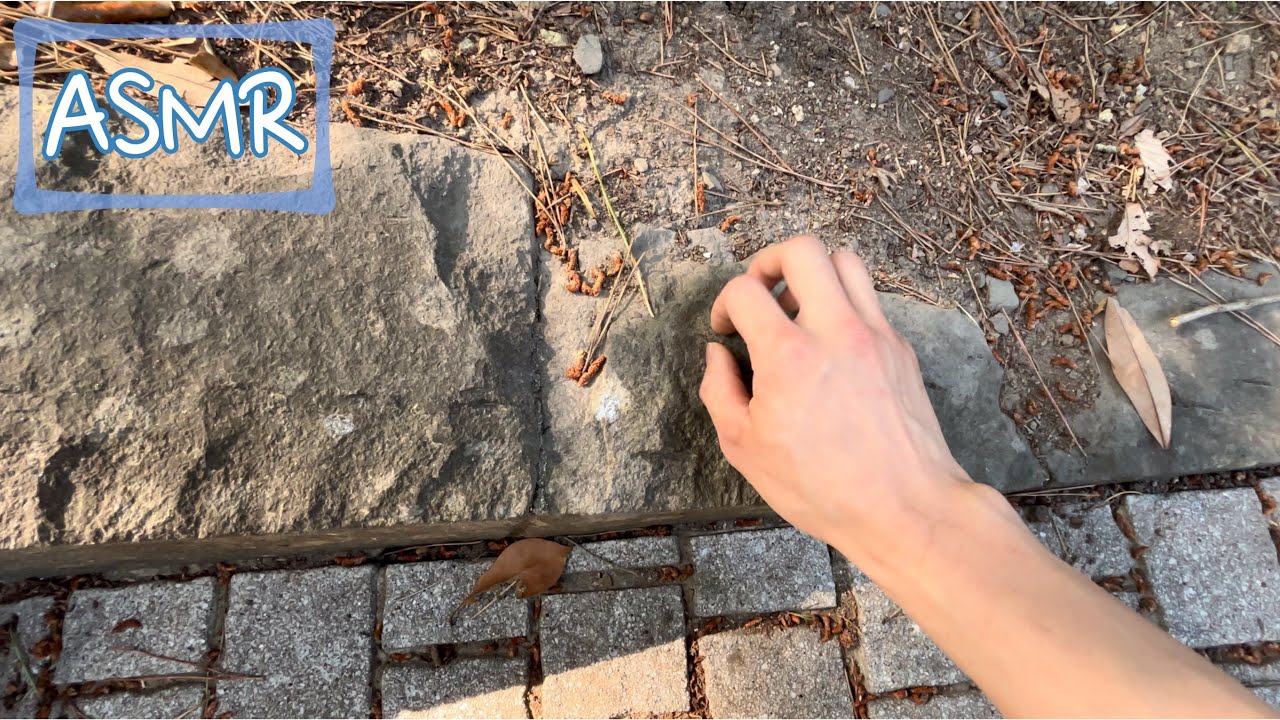 ASMR 公園でいい音をさがす　Find good sounds outside
