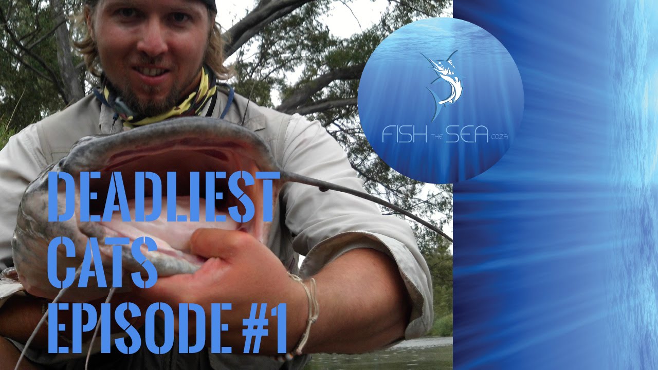 Catching Barbel On Artlure Using The Popping Method | Deadliest Cats Episode 1