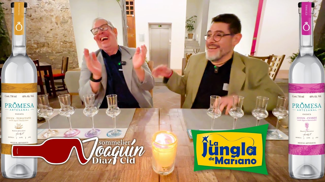 Catando Mezcal con el Master Sommelier