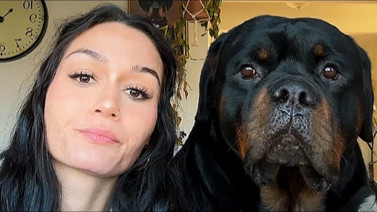 Ten 130-funtowy rottweiler NIE CHCE spuścić jej z oczu &ndash; w końcu zrozumiała dlaczego o 3 nad ranem