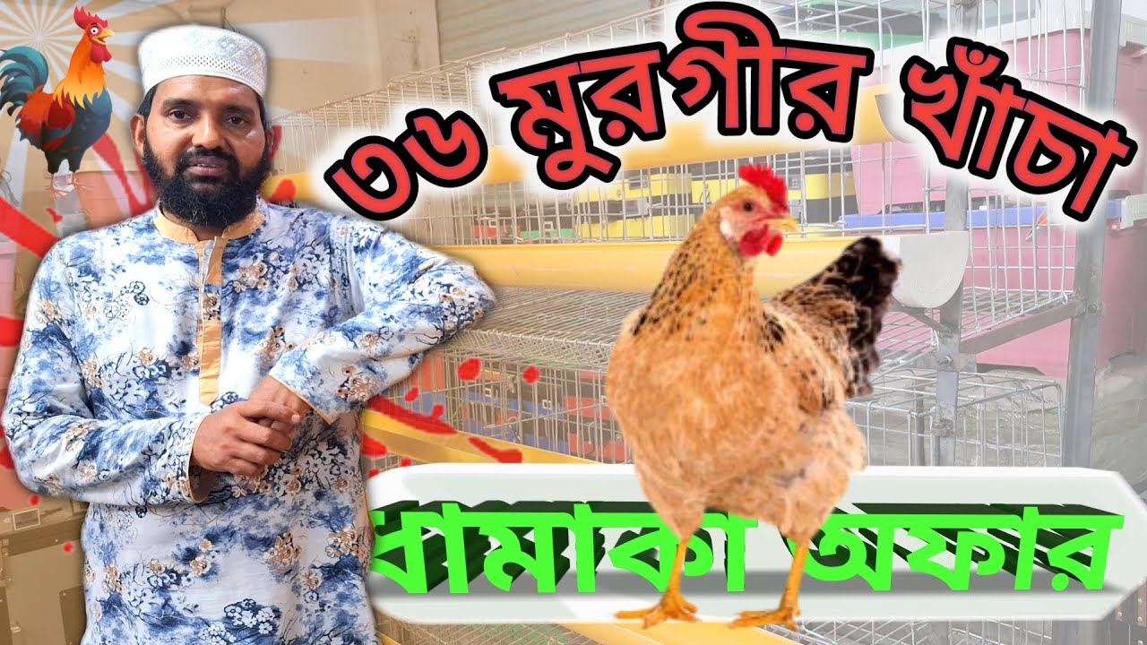 ডিম পাড়া মুরগির খাঁচা ।  লেয়ার/বয়লার/টাইগার/ফাওমি/দেশি ডিম পাড়া মুরগির খাঁচা । খাঁচা বিক্রি