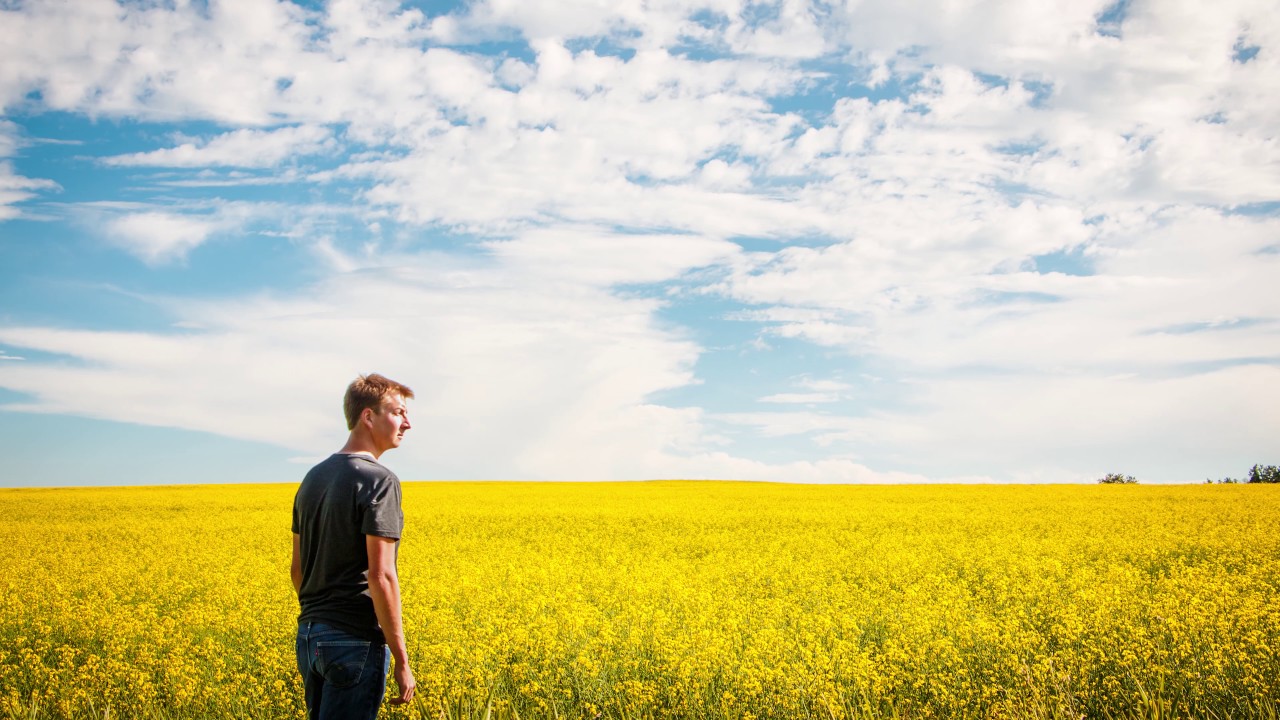 Central Alberta Canola Time-lapse - 4K