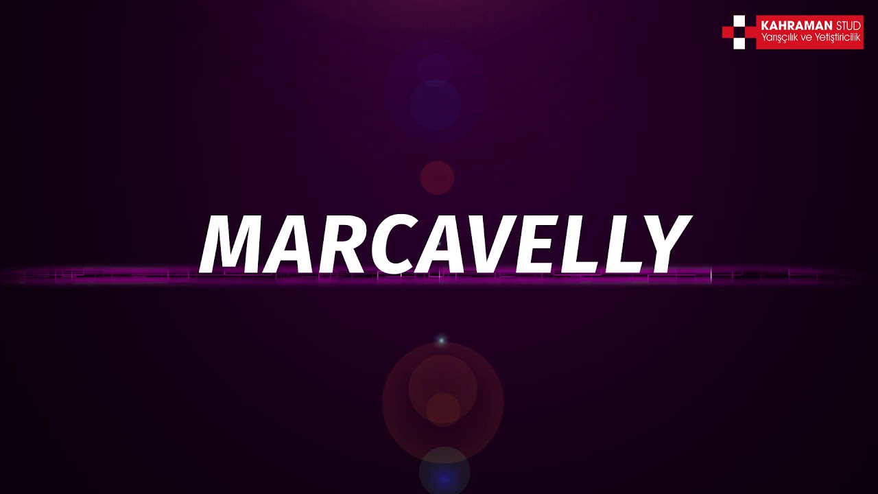Marcavelly 2021 - Kahraman Stud Harası