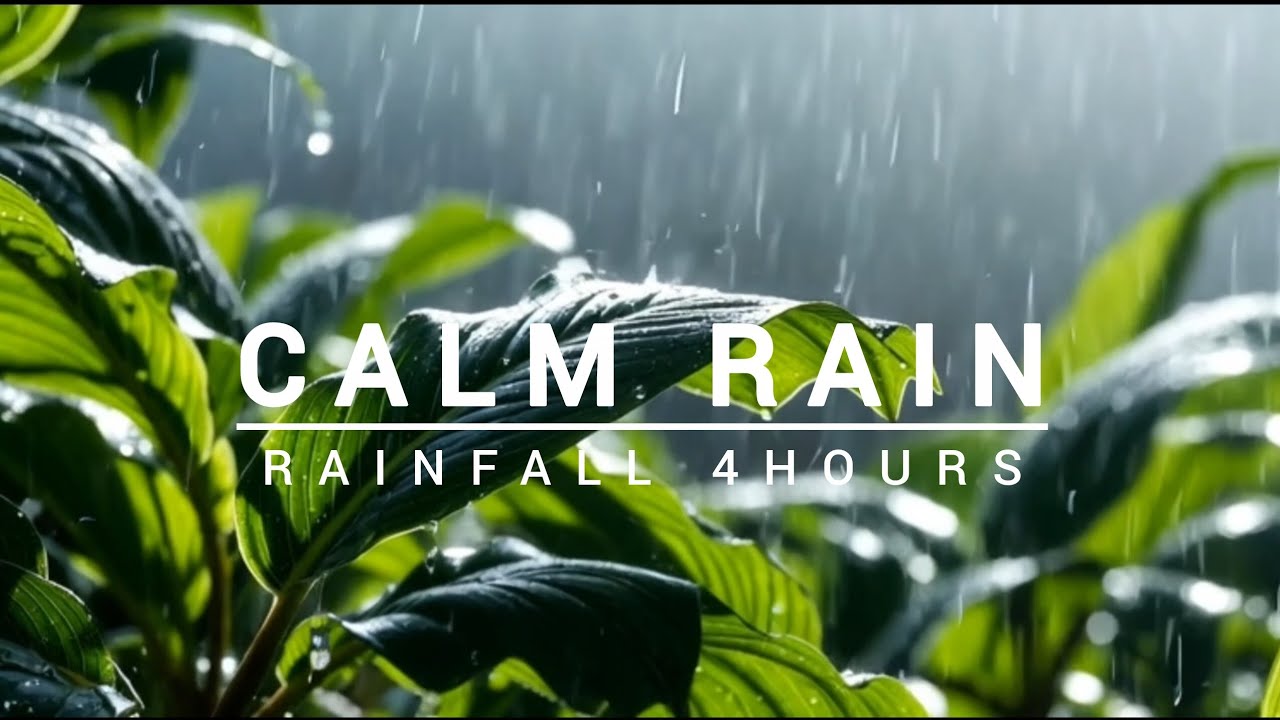 CALM RAIN | 4 HOURS | 🌿 WHISPERS OF RAIN ON LEAVES 🌧️ Helps in study and insomnia 