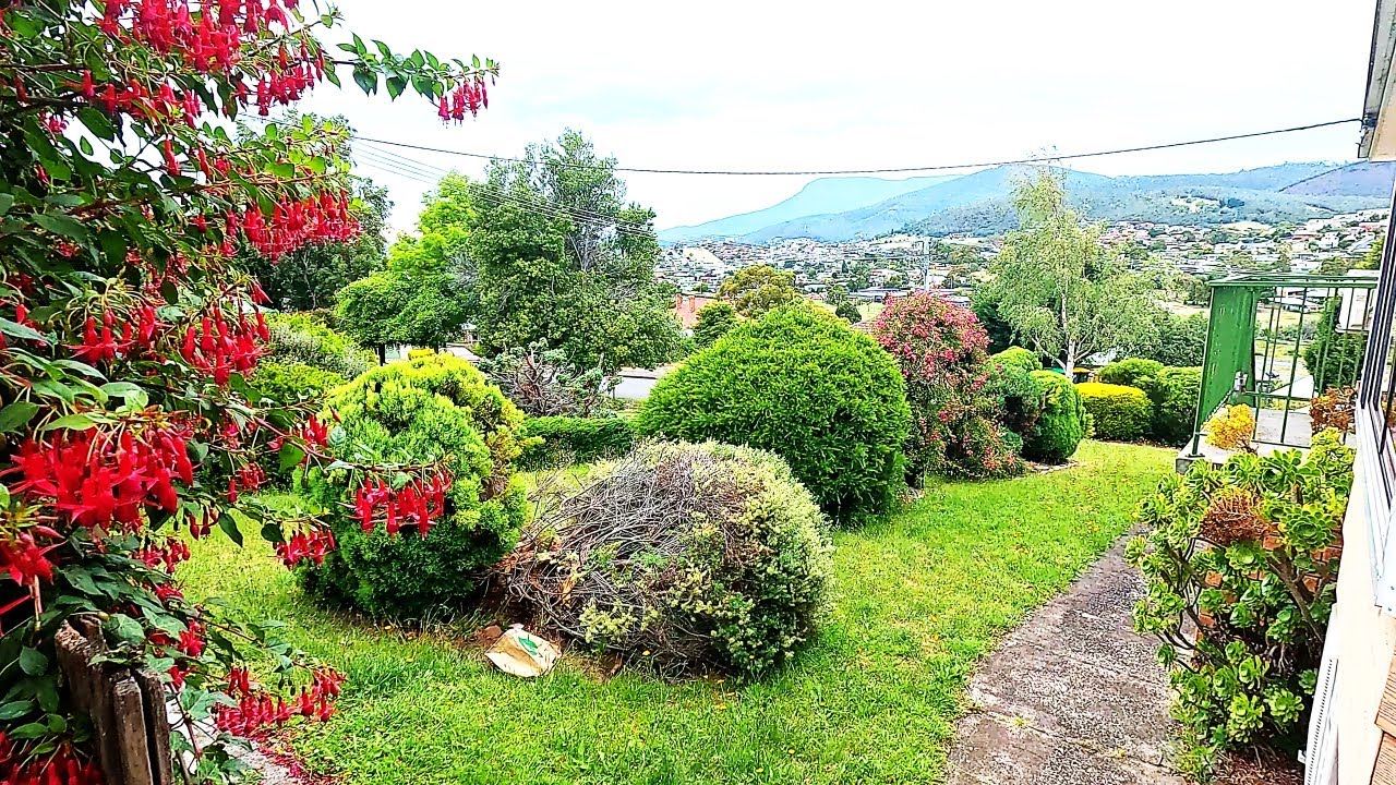 Once Beautiful Garden gets New Lease on Life!