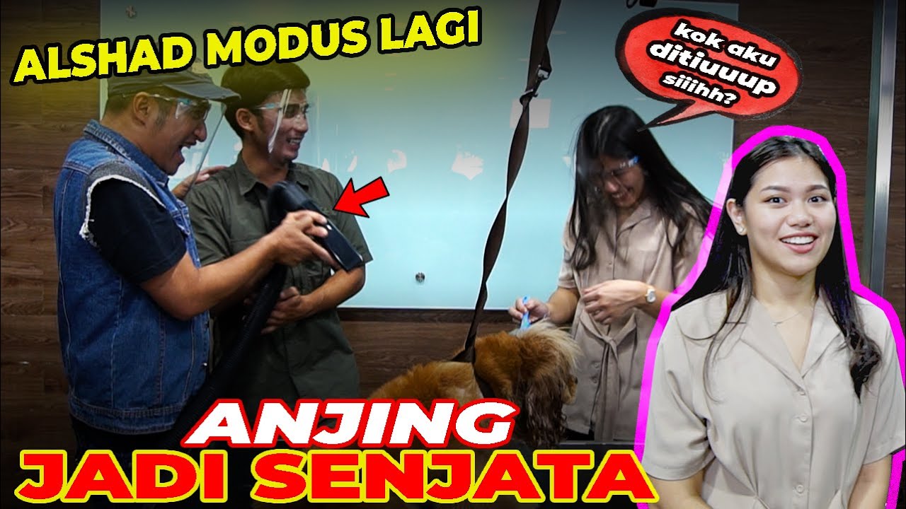 CANTIK SIH, TAPI... ANJING.. HAHA