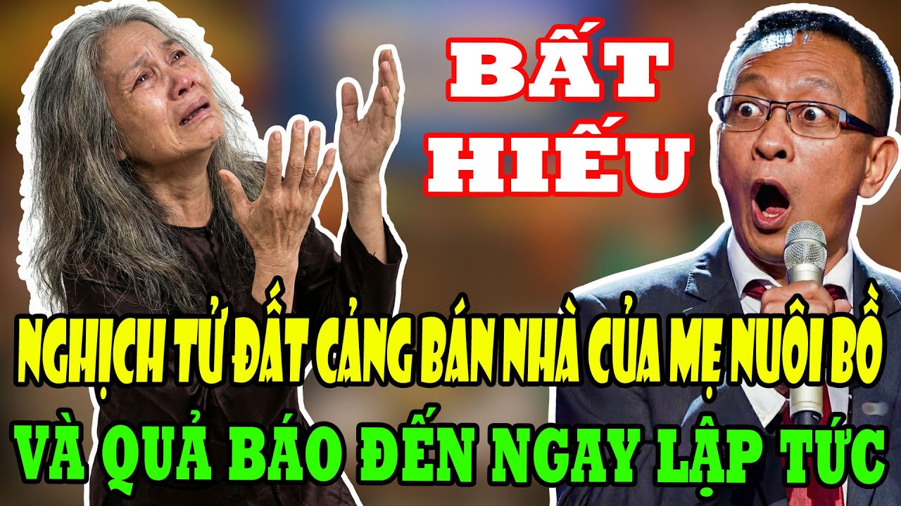 Đối Thoại Cùng Văn Sâm: Nghịch Tử Đất Cảng Cướp Nhà Mẹ Nuôi Bồ Và Quả Báo Đến Ngay Lập Tức