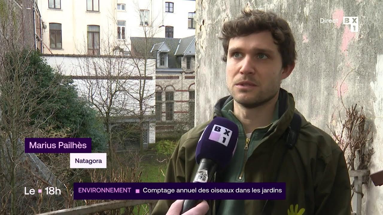 Le journal de 18h du 31 janvier 2026
