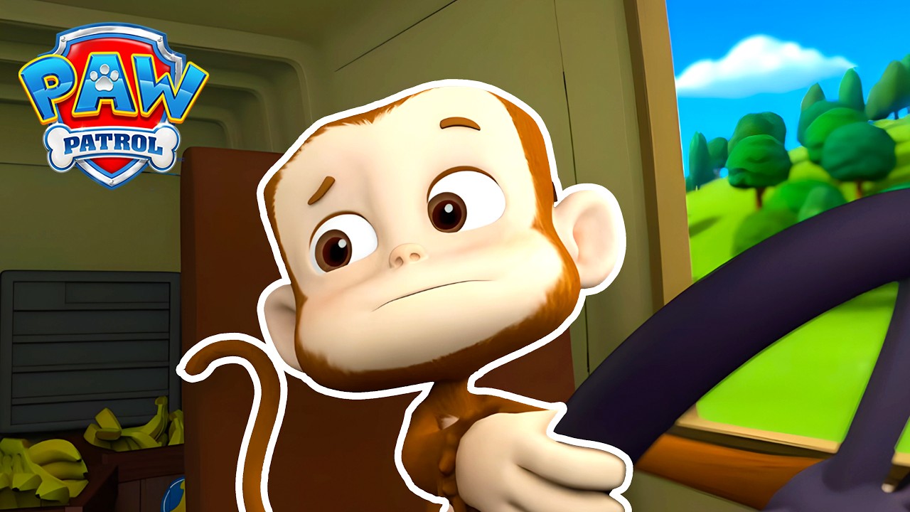 Follia scimmiesca in Paw Patrol! - PAW Patrol I cuccioli Episodi Italiano