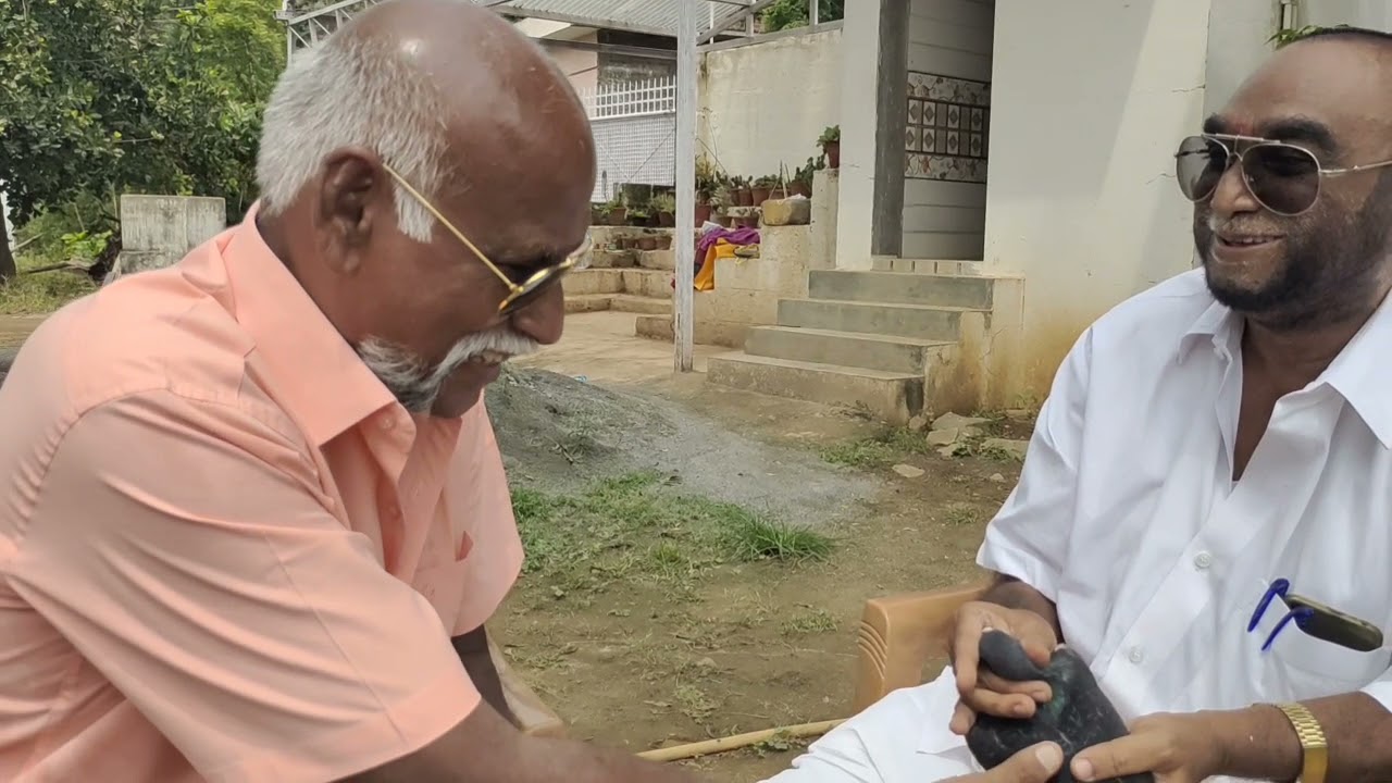 Netherland imported homer Pigeons lineages by trichy Shaik at salem