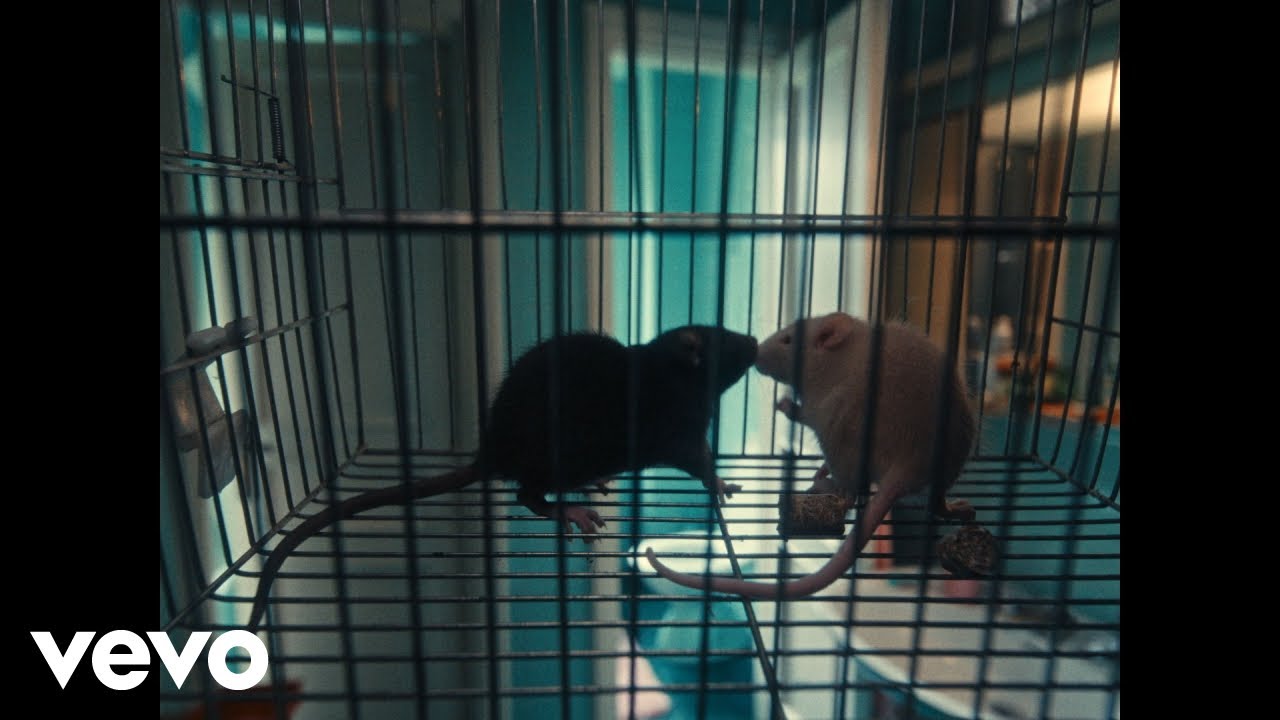 Olly, Angelina Mango, Juli - Per due come noi (Visual Video)