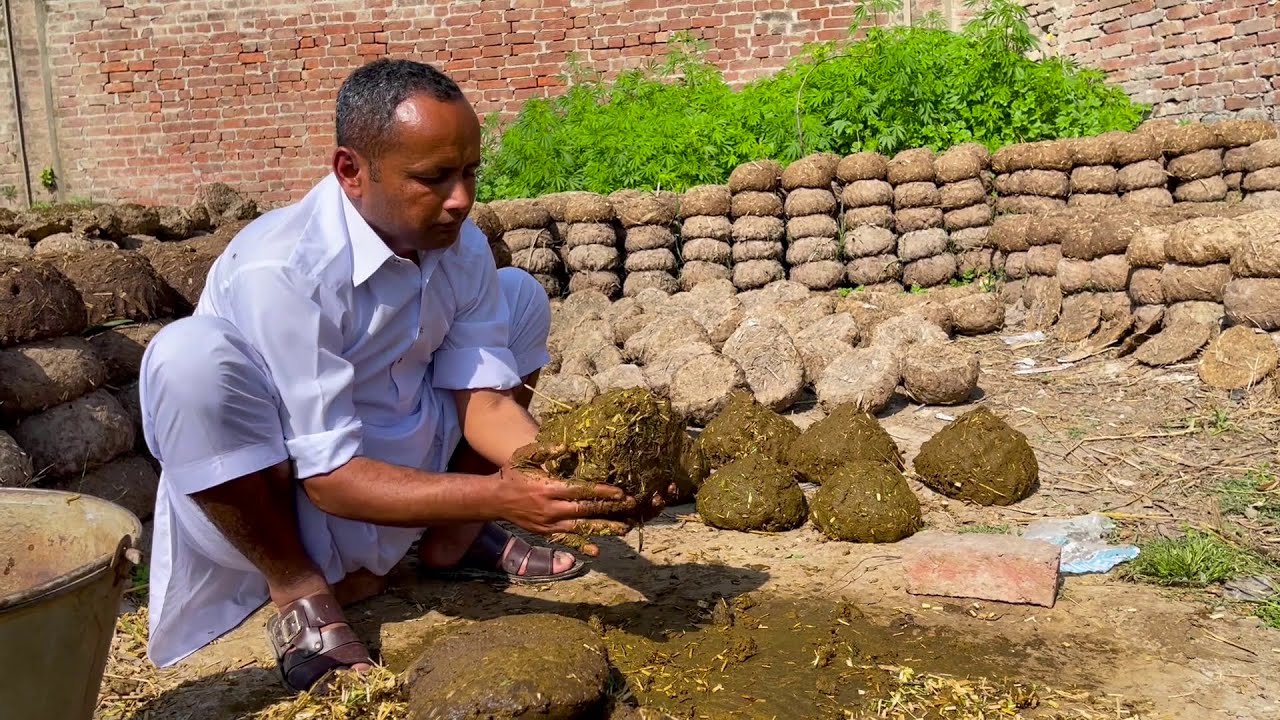 Village Life In Pakistan | Punjab Village Life | Rural Life Pakistan | Punjab Lifestyle | Mubashir
