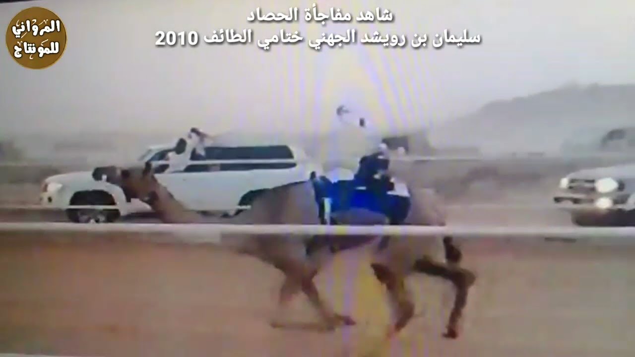 ختامي الهجن بالطائف عام 2010 | شوط الاندكروزر مع الحصاد سليمان بن رويشد الجهني HD