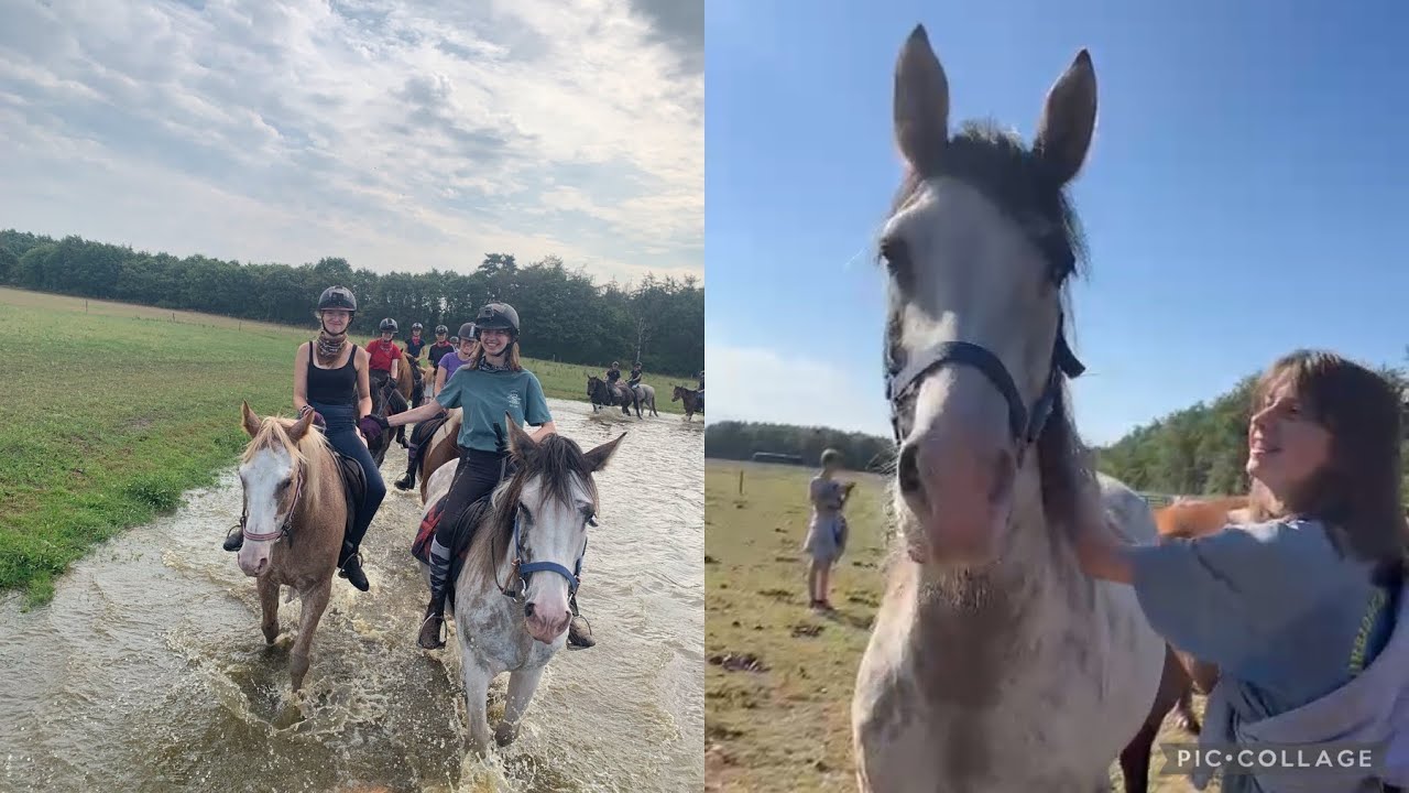 RC het fjordenpaard week 6 2022
