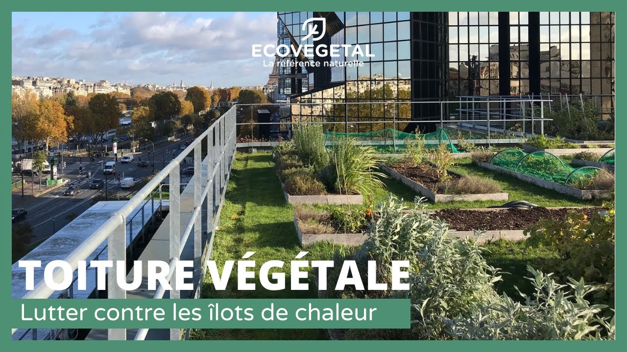 Lutter contre les îlots de chaleur