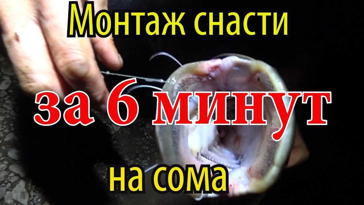 Простая снасть на СОМА для новичков. Монтаж донной снасти на сома