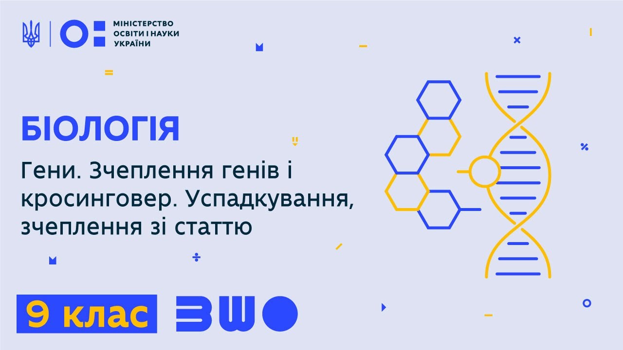 9 клас. Біологія. Гени. Зчеплення генів і кросинговер. Успадкування, зчеплення зі статтю