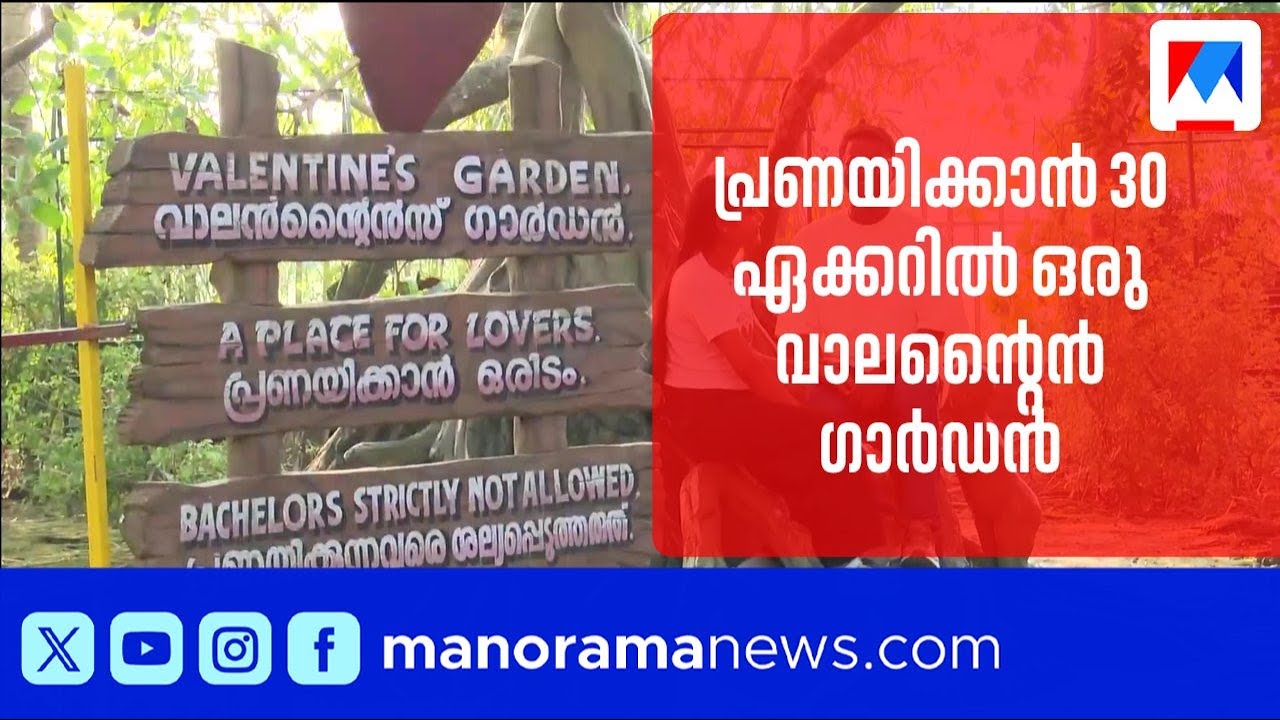 പ്രണയിക്കാൻ 30 ഏക്കറിൽ ഒരു വാലന്റൈൻ ഗാർഡൻ; ലക്ഷക്കണക്കിന് മരങ്ങൾക്കിടയിൽ പ്രകൃതിഭംഗി ആസ്വദിക്കാം