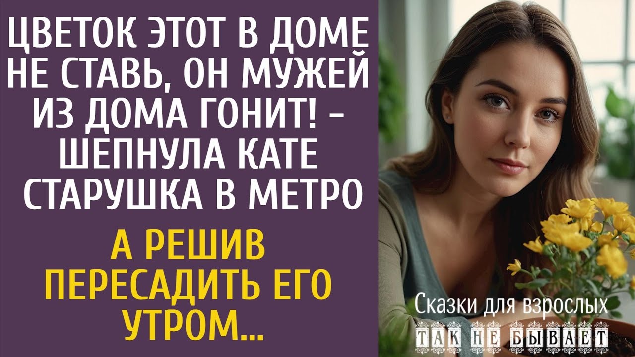 Цветок этот в доме не ставь, он мужей из дома гонит! - шепнула старушка в метро… А решив пересадить…