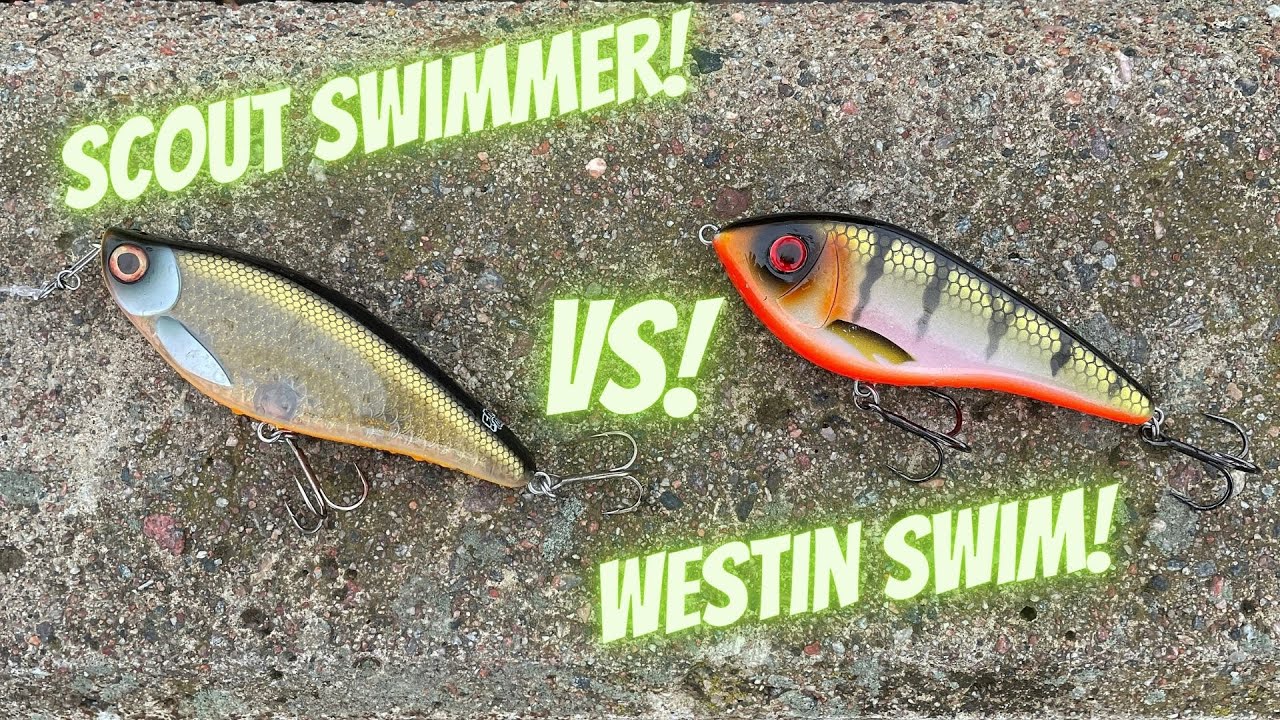 Битва за плавание! (Scout Swimmer против Westin Swim) Субтитры
