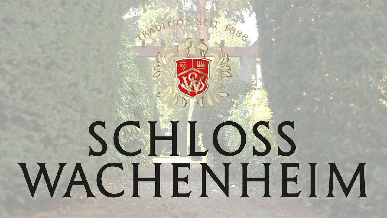 ProduktionsFilm SchlossWachenheim 2023