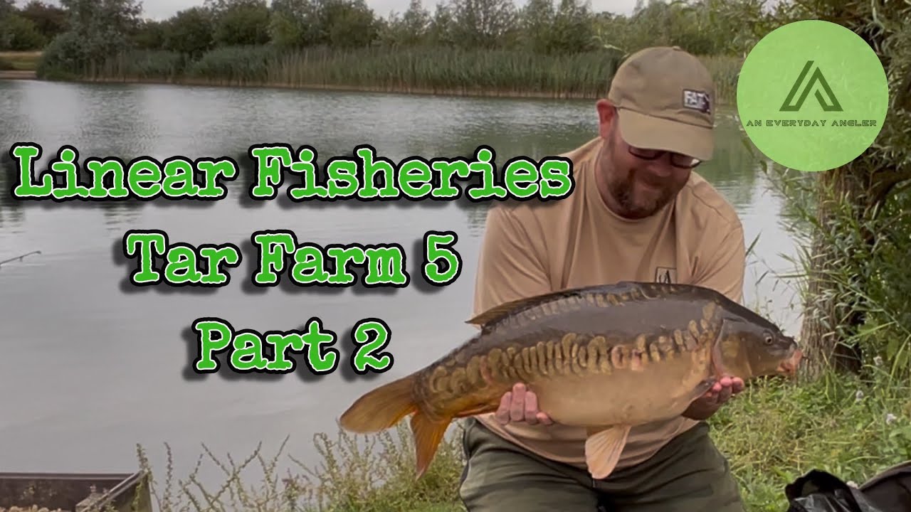 Linear Fisheries Tar Farm 5 - part 2