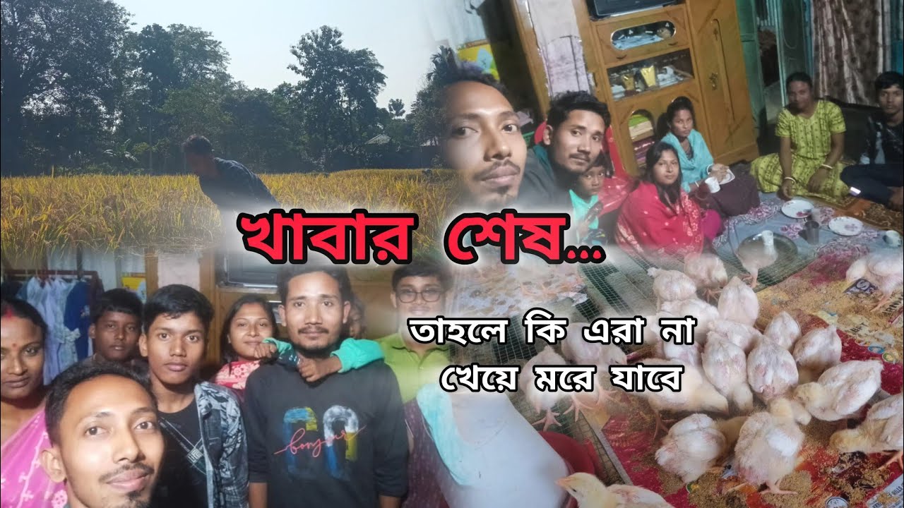 আজ আবার সবাই মিলে একসঙ্গে।। 