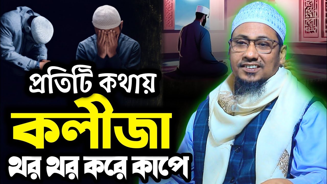 প্রতিটি কথায় কলিজা থর থর করে কাপে।আনিসুর রহমান আশরাফী ওয়াজ।Anisur Rahman Ashrafi waj।