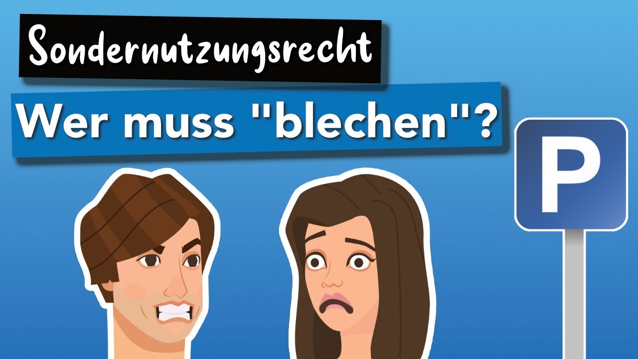 Sondernutzungsrechte // Wer kommt für die Kosten an der Sondernutzungsfläche auf??