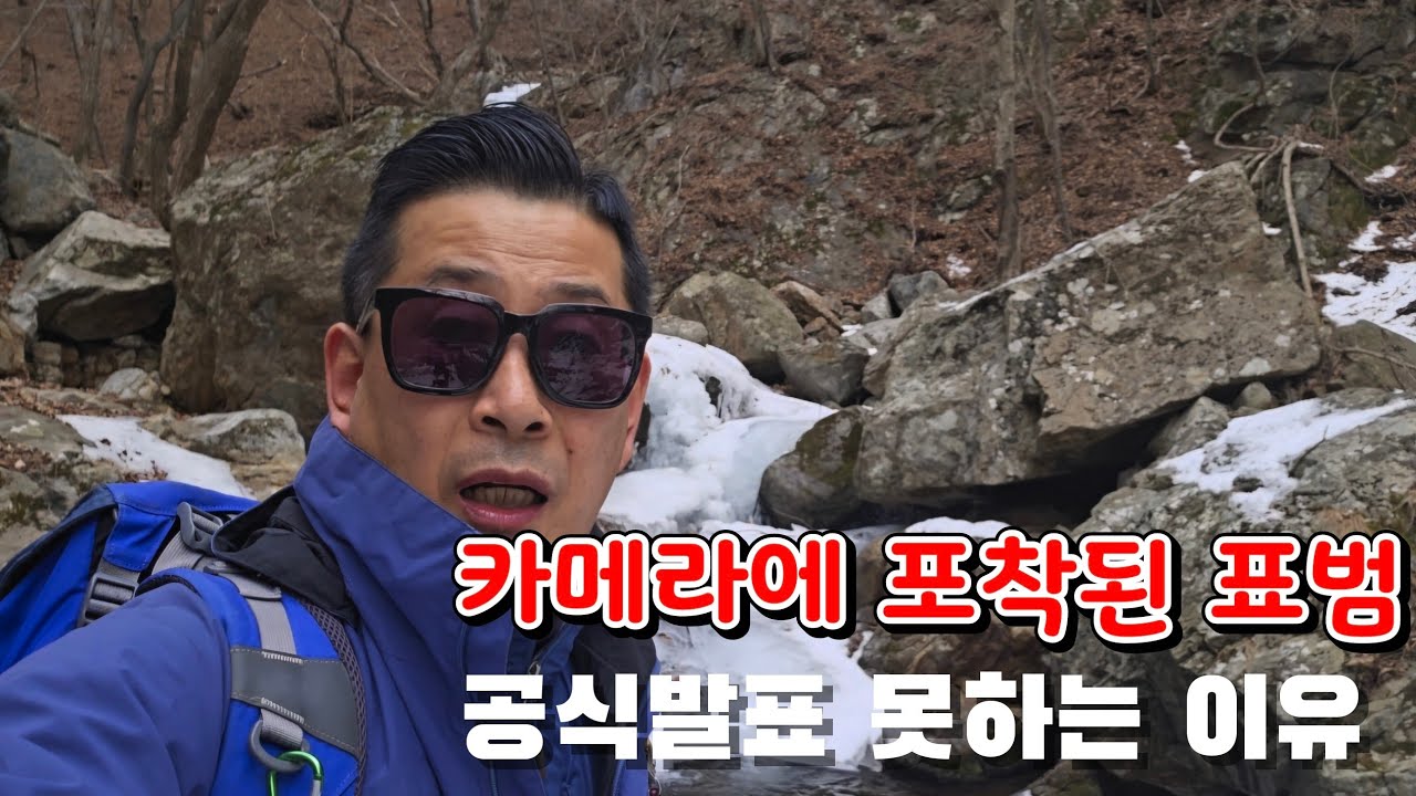 무인센서카메라에 포착된 표범 🐆 공식발표 못하는 이유 🐾경북 봉화 장기바위골 무인센서카메라 설치