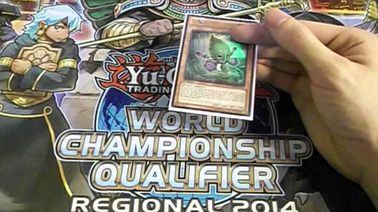 Deck Profile-Sylvans
