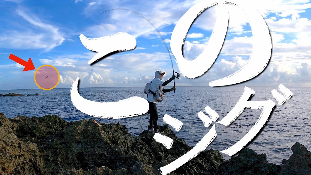 なんか最近このジグでしか魚釣ってないような気がする...【副題】ってゆーかこれ以外のジグを使ってないので何とも言えませんが...（汗）