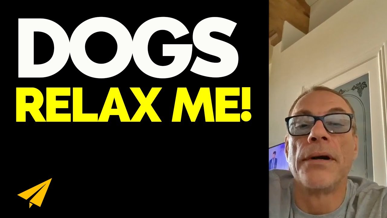 DOGS RELAX Me! - Jean Claude Van Damme Live Motivation