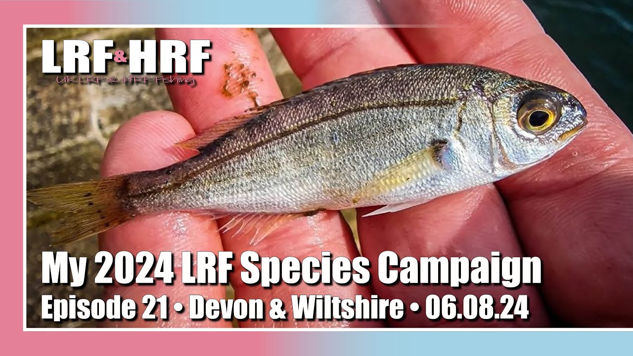 Episode 21: My 2024 LRF Species Hunt - Devon & Wiltshire