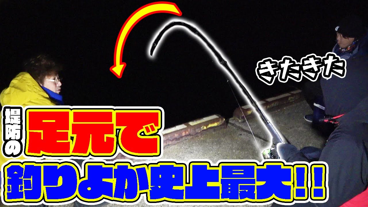 堤防の足元にエサを落とすと極太の高級魚が・・・！？